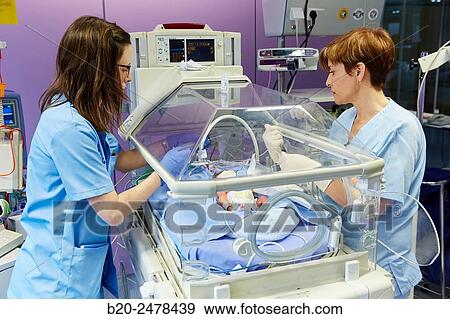 Incubator, Medical care, Neonate Intensive care Unit, ICU, Hospital Donostia, San Sebastian, Gipuzkoa, Basque Country, Spain View Large Photo Image Stock Photo - Incubator, Medical care, Neonate Intensive care Unit, ICU, Hospital Donostia, San Sebastian, Gipuzkoa, Basque Country, Spain. Fotosearch