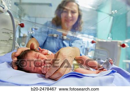 Incubator, Medical care, Neonate Intensive care Unit, ICU, Hospital Donostia, San Sebastian, Gipuzkoa, Basque Country, Spain View Large Photo Image Stock Photo - Incubator, Medical care, Neonate Intensive care Unit, ICU, Hospital Donostia, San Sebastian, Gipuzkoa, Basque Country, Spain. Fotosearch