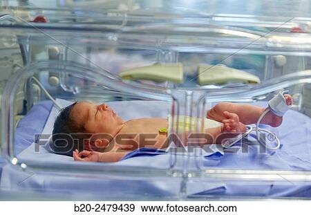 Incubator, Medical care, Neonate Intensive care Unit, ICU, Hospital Donostia, San Sebastian, Gipuzkoa, Basque Country, Spain View Large Photo Image Stock Photo - Incubator, Medical care, Neonate Intensive care Unit, ICU, Hospital Donostia, San Sebastian, Gipuzkoa, Basque Country, Spain. Fotosearch