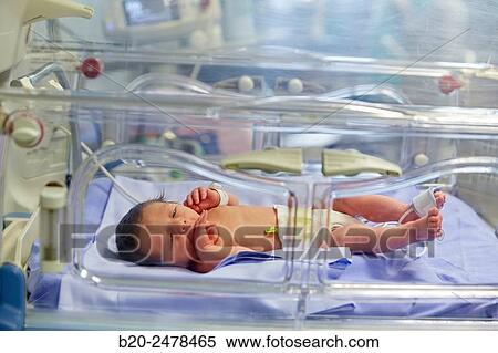 Incubator, Medical care, Neonate Intensive care Unit, ICU, Hospital Donostia, San Sebastian, Gipuzkoa, Basque Country, Spain View Large Photo Image Stock Photography - Incubator, Medical care, Neonate Intensive care Unit, ICU, Hospital Donostia, San Sebastian, Gipuzkoa, Basque Country, Spain. Fotosearch