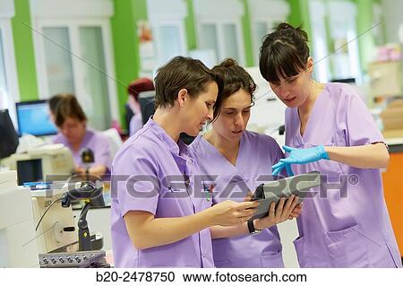 Laboratory, Anatomic Pathology, Hospital Donostia, San Sebastian, Gipuzkoa, Basque Country, Spain View Large Photo Image Stock Image - Laboratory, Anatomic Pathology, Hospital Donostia, San Sebastian, Gipuzkoa, Basque Country, Spain. Fotosearch