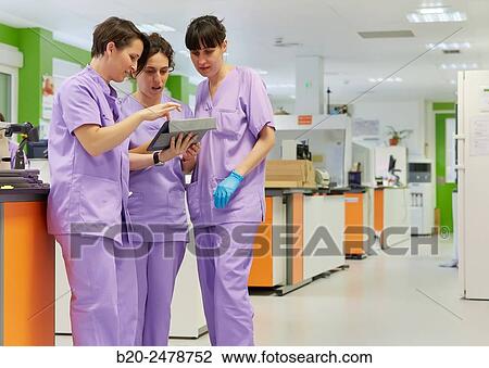 Laboratory, Anatomic Pathology, Hospital Donostia, San Sebastian, Gipuzkoa, Basque Country, Spain View Large Photo Image Stock Image - Laboratory, Anatomic Pathology, Hospital Donostia, San Sebastian, Gipuzkoa, Basque Country, Spain. Fotosearch