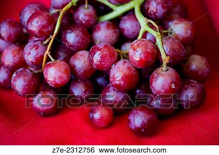 Macro shot of red, seedless grapes against red background. View Large Photo Image Stock Photograph - Macro shot of red, seedless grapes against red background.. Fotosearch