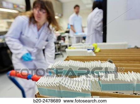 Stock Photo - Macros area, Carving, Anatomic Pathology, Hospital Donostia, San Sebastian, Gipuzkoa, Basque Country, Spain. Fotosearch