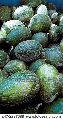 Melons View Large Photo Image Stock Photo - Melons. Fotosearch