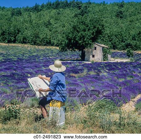 Middle aged woman drawing stone house in blooming lavender field, Vaucluse, Provence, France. View Large Photo Image Stock Image - Middle aged woman drawing stone house in blooming lavender field, Vaucluse, Provence, France.. Fotosearch