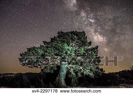 Milky way in Gudar-Javalambre area. Teruel. Aragón. View Large Photo Image Stock Photo - Milky way in Gudar-Javalambre area. Teruel. Aragón.. Fotosearch