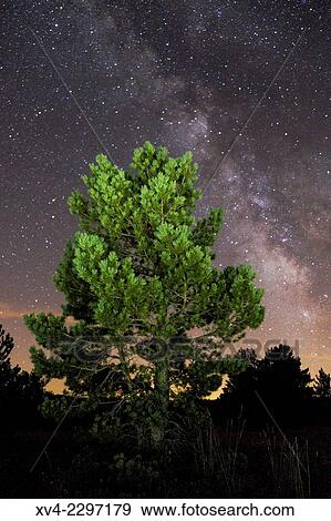 Milky way in Gudar-Javalambre area. Teruel. Aragón. View Large Photo Image Stock Photo - Milky way in Gudar-Javalambre area. Teruel. Aragón.. Fotosearch