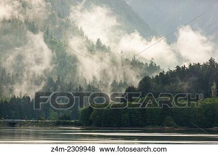 Stock Photo - Mist hangs in the forested mountains of coastal Alaska, USA. Fotosearch