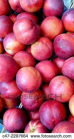 Nectarines View Large Photo Image Picture - Nectarines. Fotosearch