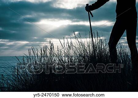Nordic walker on dunes at sunrise on Seaton Carew beach, north east England, United Kingdom. View Large Photo Image Stock Image - Nordic walker on dunes at sunrise on Seaton Carew beach, north east England, United Kingdom.. Fotosearch