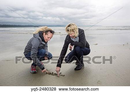 Stock Photo - North America, Canada, British Columbia, Vancouver Island, Pacific Ocean, Pacific Rim National Park Reserve, Clayoquot Sound, UNESCO Biosphere Reserve, 2 women writing in sand.. Fotosearch