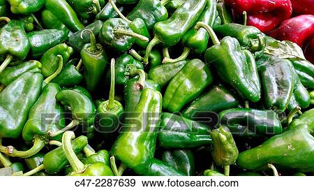 Padron small green peppers, Galicia, Spain, View Large Photo Image Stock Photo - Padron small green peppers, Galicia, Spain,. Fotosearch