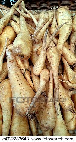Parsnips View Large Photo Image Stock Image - Parsnips. Fotosearch