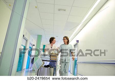 Plant hospitalization, Hospital Donostia, San Sebastian, Gipuzkoa, Basque Country, Spain View Large Photo Image Picture - Plant hospitalization, Hospital Donostia, San Sebastian, Gipuzkoa, Basque Country, Spain. Fotosearch