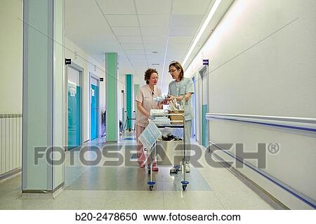 Plant hospitalization, Hospital Donostia, San Sebastian, Gipuzkoa, Basque Country, Spain View Large Photo Image Stock Image - Plant hospitalization, Hospital Donostia, San Sebastian, Gipuzkoa, Basque Country, Spain. Fotosearch
