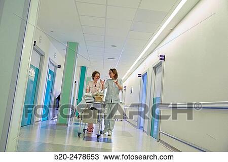 Plant hospitalization, Hospital Donostia, San Sebastian, Gipuzkoa, Basque Country, Spain View Large Photo Image Stock Image - Plant hospitalization, Hospital Donostia, San Sebastian, Gipuzkoa, Basque Country, Spain. Fotosearch