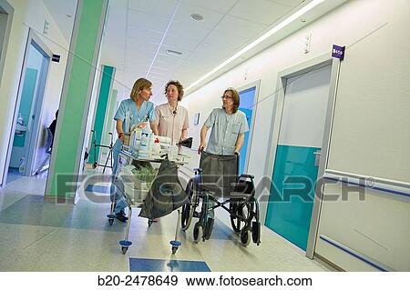 Plant hospitalization, Hospital Donostia, San Sebastian, Gipuzkoa, Basque Country, Spain View Large Photo Image Stock Photo - Plant hospitalization, Hospital Donostia, San Sebastian, Gipuzkoa, Basque Country, Spain. Fotosearch