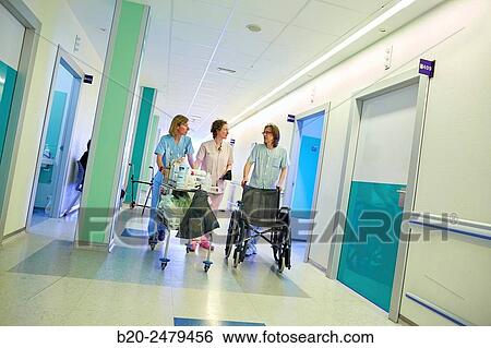 Plant hospitalization, Hospital Donostia, San Sebastian, Gipuzkoa, Basque Country, Spain View Large Photo Image Stock Photograph - Plant hospitalization, Hospital Donostia, San Sebastian, Gipuzkoa, Basque Country, Spain. Fotosearch