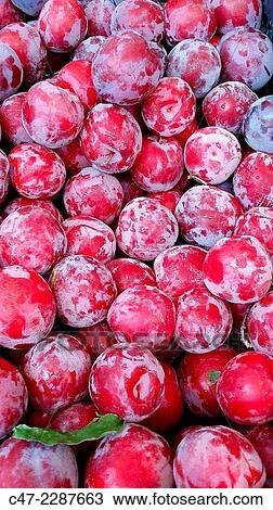 Stock Image - Plums. Fotosearch