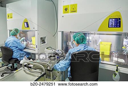 Stock Image - Preparation of drugs in laminar flow hood, epidural anesthesia, Clean room, Pharmacy, Hospital Donostia, San Sebastian, Gipuzkoa, Basque Country, Spain. Fotosearch