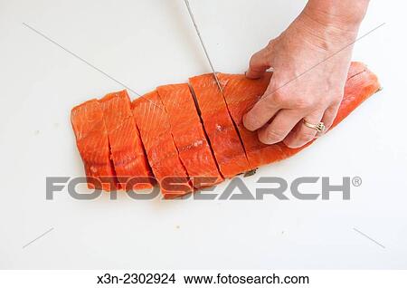Preparing Salmon (Oncorhynchus) for smoking. View Large Photo Image Picture - Preparing Salmon (Oncorhynchus) for smoking.. Fotosearch