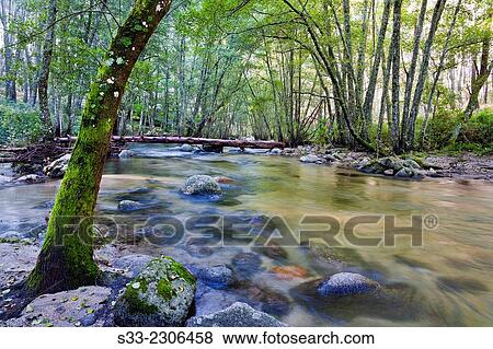 Ramacastañas river in Santa Cruz del Valle. Avila. Castilla Leon. Spain. Europe. View Large Photo Image Stock Photo - Ramacastañas river in Santa Cruz del Valle. Avila. Castilla Leon. Spain. Europe.. Fotosearch