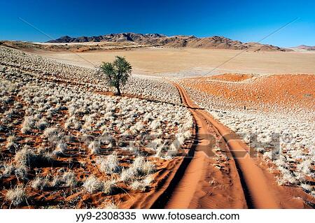 Stock Photography - Road in Wolwedans - NamibRand Nature Reserve - Hardap Region, Namibia, Africa.. Fotosearch