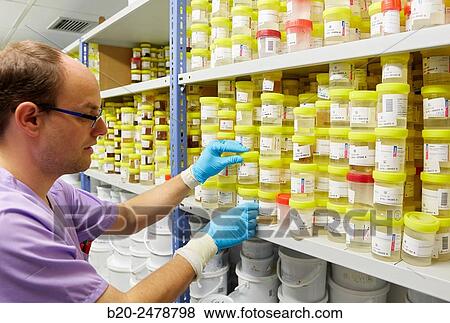 Sample storage, Anatomic Pathology, Hospital Donostia, San Sebastian, Gipuzkoa, Basque Country, Spain View Large Photo Image Stock Photo - Sample storage, Anatomic Pathology, Hospital Donostia, San Sebastian, Gipuzkoa, Basque Country, Spain. Fotosearch