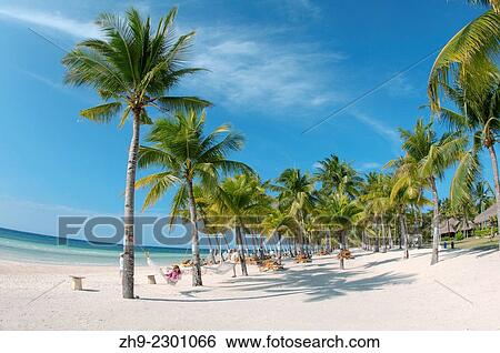Stock Photograph - Sandy beach with palm trees, island Bohol, Philippines, Southeast Asia.. Fotosearch