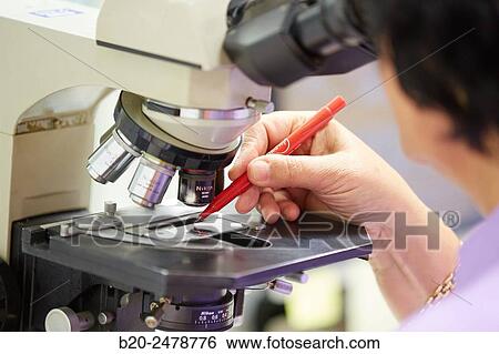 Screening, Cytology, Anatomic Pathology, Hospital Donostia, San Sebastian, Gipuzkoa, Basque Country, Spain View Large Photo Image Stock Photograph - Screening, Cytology, Anatomic Pathology, Hospital Donostia, San Sebastian, Gipuzkoa, Basque Country, Spain. Fotosearch