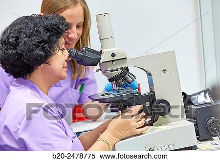 Screening, Cytology, Anatomic Pathology, Hospital Donostia, San Sebastian, Gipuzkoa, Basque Country, Spain View Large Photo Image Stock Photography - Screening, Cytology, Anatomic Pathology, Hospital Donostia, San Sebastian, Gipuzkoa, Basque Country, Spain. Fotosearch