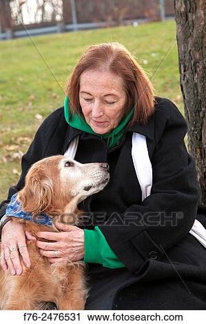 Senior woman with elder golden retriever therapy dog/ companion dog/service dog, model released, MR# 131121. View Large Photo Image Stock Image - Senior woman with elder golden retriever therapy dog/ companion dog/service dog, model released, MR# 131121.. Fotosearch
