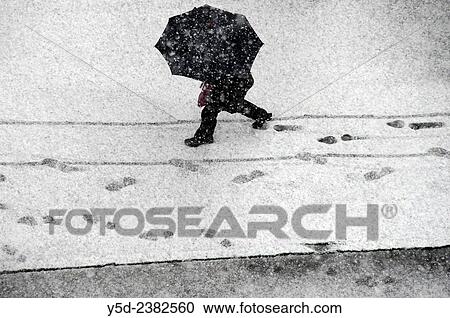 Single person walking under umbrella in heavy snowstorm, Geneva, Switzerland. View Large Photo Image Stock Image - Single person walking under umbrella in heavy snowstorm, Geneva, Switzerland.. Fotosearch
