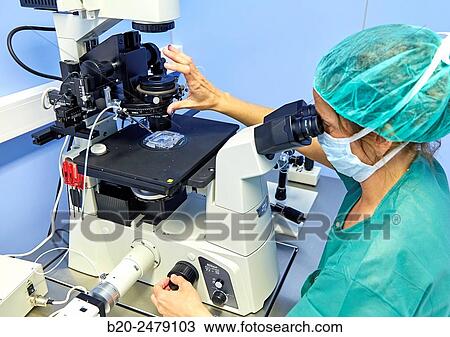 Sperm, URA, ARU, Assisted Reproduction Unit, In Vitro Fertilisation, Intra Cytoplasmic Sperm Injection, Hospital Donostia, San Sebastian, Gipuzkoa, Basque Country, Spain View Large Photo Image Stock Image - Sperm, URA, ARU, Assisted Reproduction Unit, In Vitro Fertilisation, Intra Cytoplasmic Sperm Injection, Hospital Donostia, San Sebastian, Gipuzkoa, Basque Country, Spain. Fotosearch