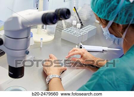 Sperm, URA, ARU, Assisted Reproduction Unit, In Vitro Fertilisation, Intra Cytoplasmic Sperm Injection, Hospital Donostia, San Sebastian, Gipuzkoa, Basque Country, Spain View Large Photo Image Stock Image - Sperm, URA, ARU, Assisted Reproduction Unit, In Vitro Fertilisation, Intra Cytoplasmic Sperm Injection, Hospital Donostia, San Sebastian, Gipuzkoa, Basque Country, Spain. Fotosearch