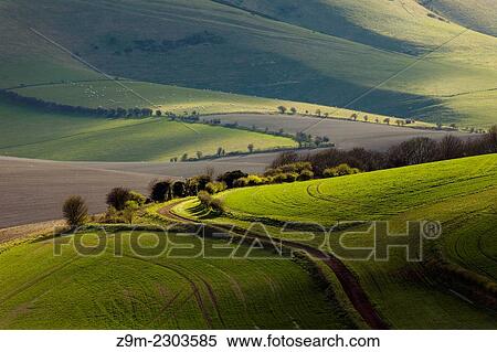 Spring afternoon in South Downs National Park, East Sussex, England. View Large Photo Image Stock Photography - Spring afternoon in South Downs National Park, East Sussex, England.. Fotosearch
