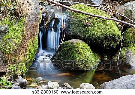 Stream in the Sierra de Gredos. Avila. Castilla Leon. Spain. Europe. View Large Photo Image Stock Image - Stream in the Sierra de Gredos. Avila. Castilla Leon. Spain. Europe.. Fotosearch