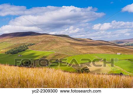 Stock Image - Swaledale in the Yorkshire Dales in Yorkshire, England, Britain, Uk.. Fotosearch