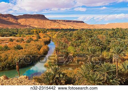 Tafilalet Oasis, Tafilalt Oasis, Ziz River, Gorges du Ziz, Ziz Valley, Ziz Gorges, Tafilalet region, Morocco, North Africa. View Large Photo Image Stock Image - Tafilalet Oasis, Tafilalt Oasis, Ziz River, Gorges du Ziz, Ziz Valley, Ziz Gorges, Tafilalet region, Morocco, North Africa.. Fotosearch