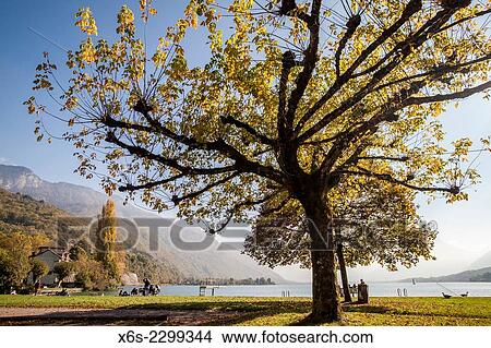Picture - Talloires village on the bank of Annecy lake, Haute-Savoie, Rhône-Alpes, France.. Fotosearch