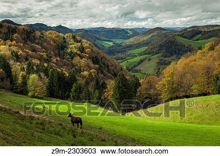 Stock Image - Thal Nature Park near Ramiswil in Swiss Jura Mountains, canton of Solothurn, Switzerland.. Fotosearch