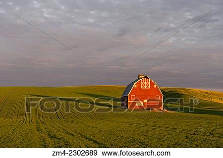 The Palouse Barn outside of Uniontown in Whitman County in the Palouse near Pullman, Washington State, USA. View Large Photo Image Stock Photo - The Palouse Barn outside of Uniontown in Whitman County in the Palouse near Pullman, Washington State, USA.. Fotosearch