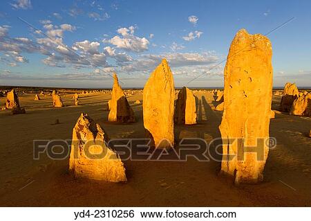 Stock Photograph - The Pinnacles, Nambung National Park, Cervantes, West Australia, Australia.. Fotosearch