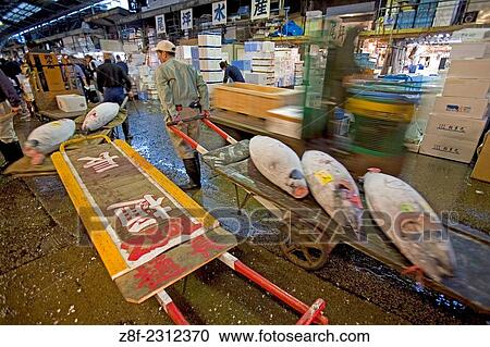 Tokyo Central Wholesale Market, Tsukiji Fish Market, Tokyo, Japan. View Large Photo Image Stock Image - Tokyo Central Wholesale Market, Tsukiji Fish Market, Tokyo, Japan.. Fotosearch