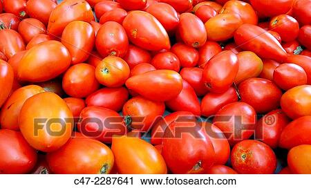 Tomatoes View Large Photo Image Stock Image - Tomatoes. Fotosearch