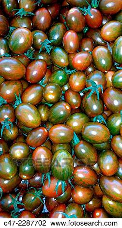 Tomatoes View Large Photo Image Stock Image - Tomatoes. Fotosearch