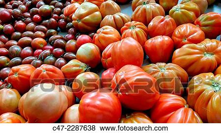 Tomatoes View Large Photo Image Stock Photo - Tomatoes. Fotosearch