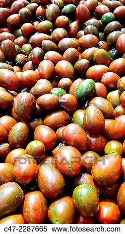 Tomatoes View Large Photo Image Stock Photography - Tomatoes. Fotosearch