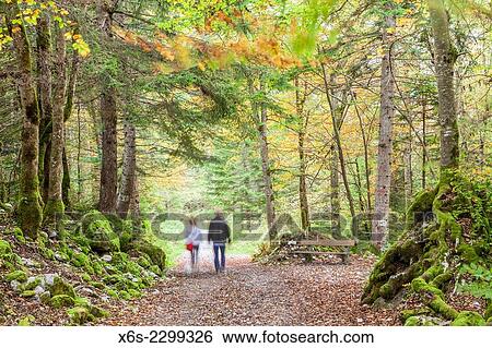 Vallon de Bellevaux valley in Massif des Bauges, Savoie, Rhône-Alpes, France. View Large Photo Image Stock Photograph - Vallon de Bellevaux valley in Massif des Bauges, Savoie, Rhône-Alpes, France.. Fotosearch